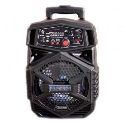 Компактна акумулаторна караоке колона FEIYIPU ES-4000 8" 300W с 1 микрофон